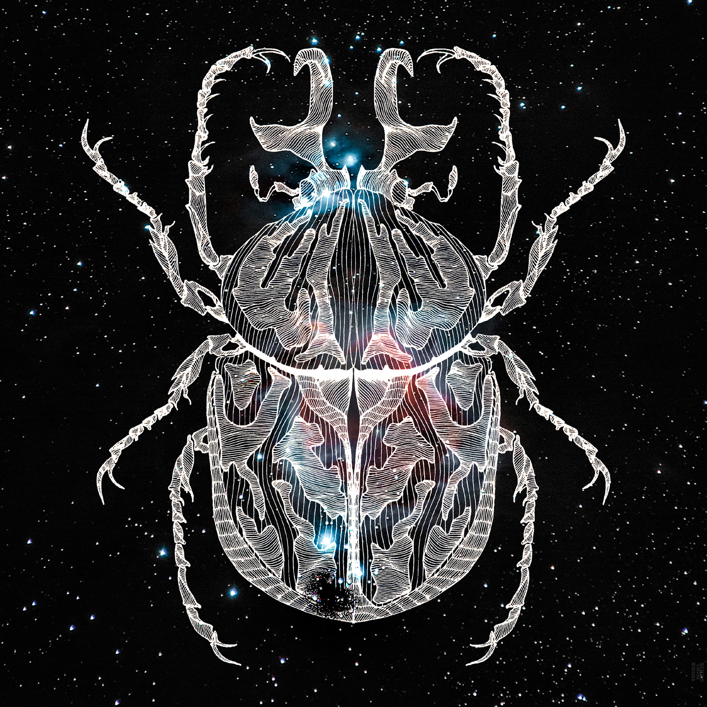 intergalactic beetle art card