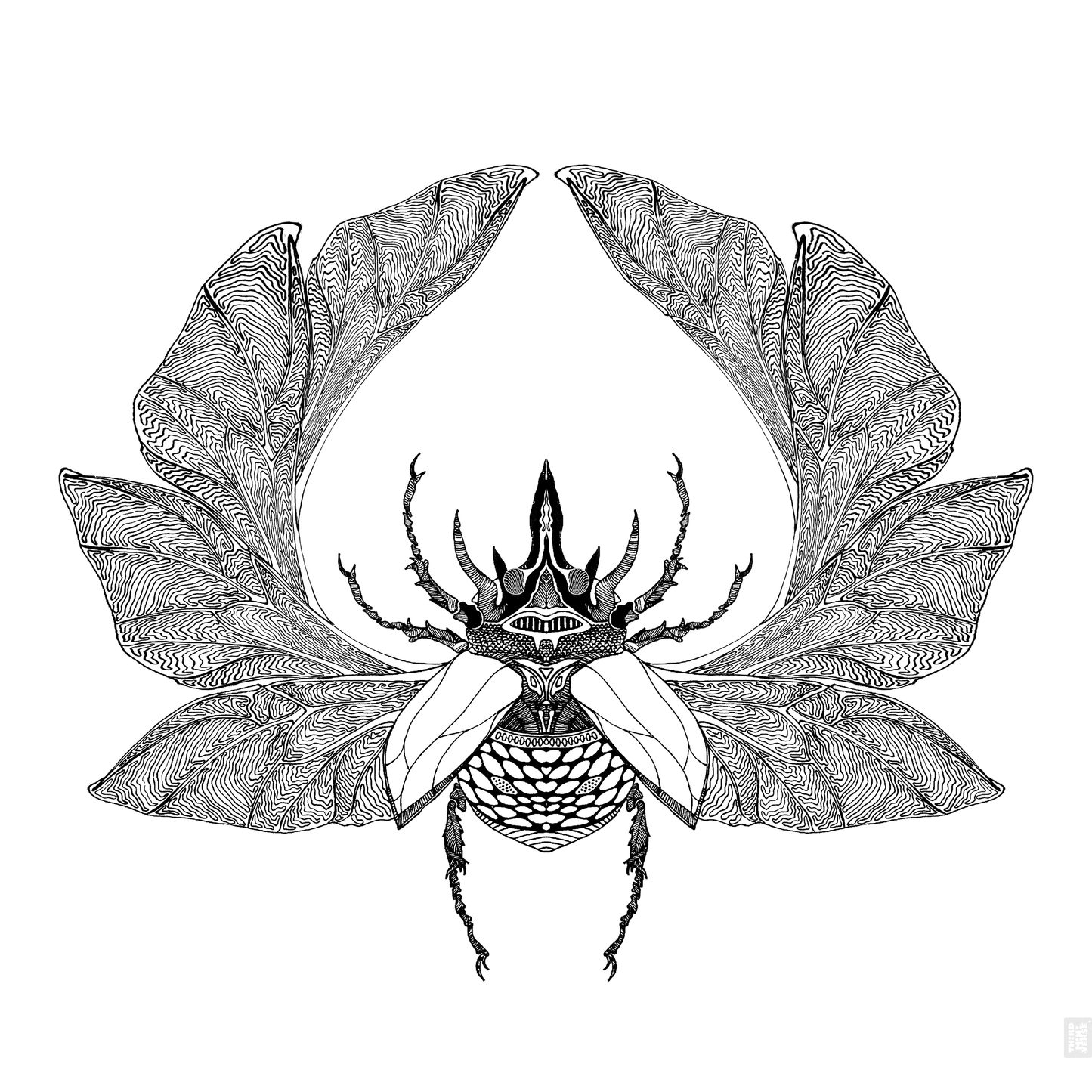 mother beetle origins art card