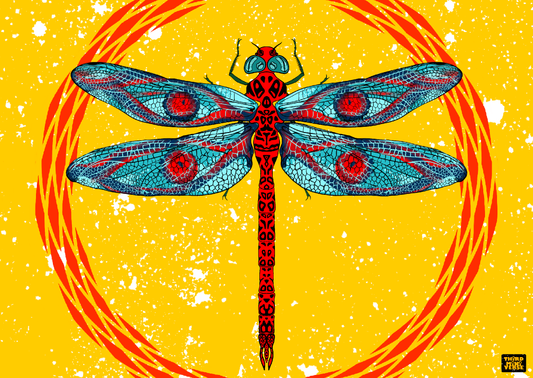 dragonfl(eye) postcard