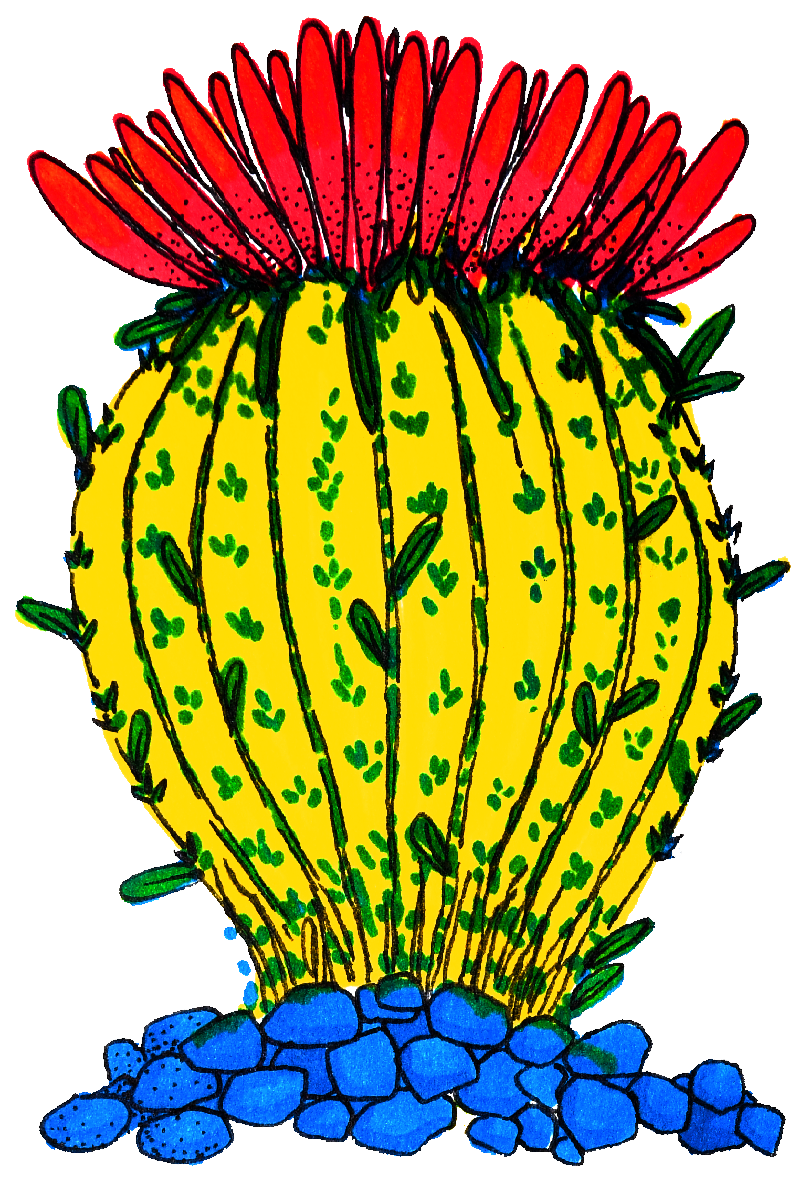 unexamined cactus sticker