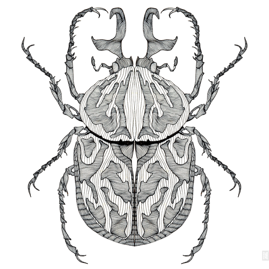 ancient beetle art card