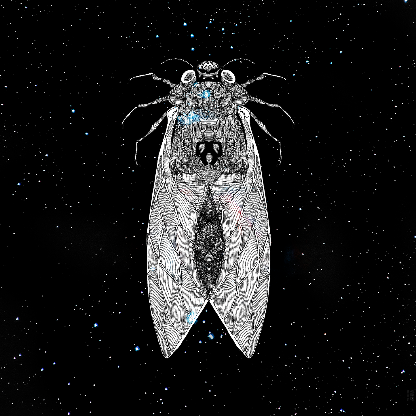 intergalactic cicada art card