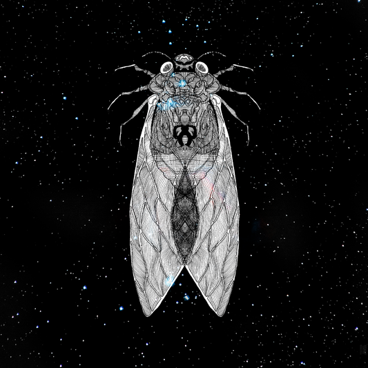 intergalactic cicada art card