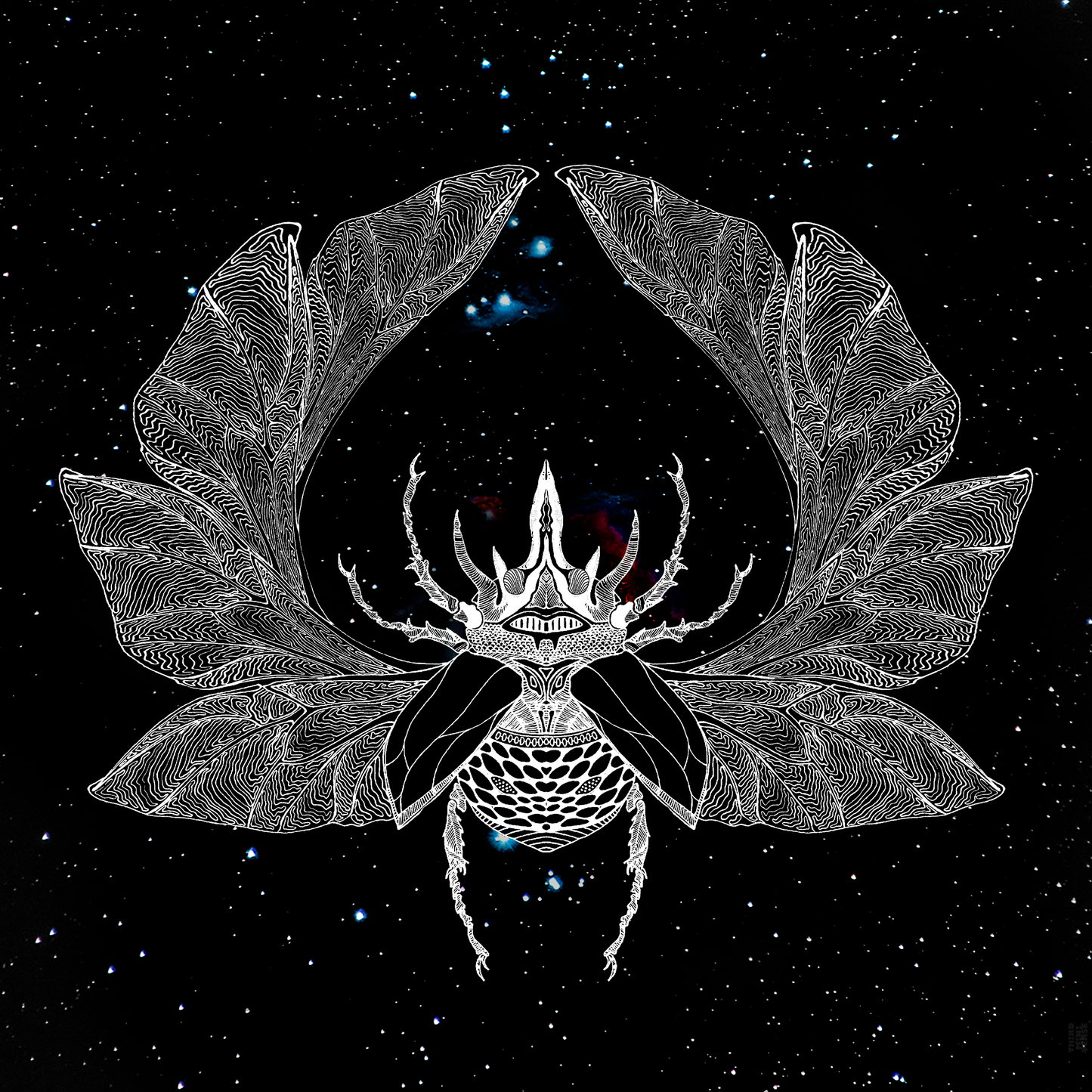 intergalactic mother beetle art card