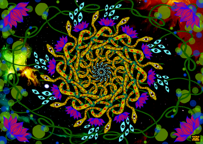 the origins postcard