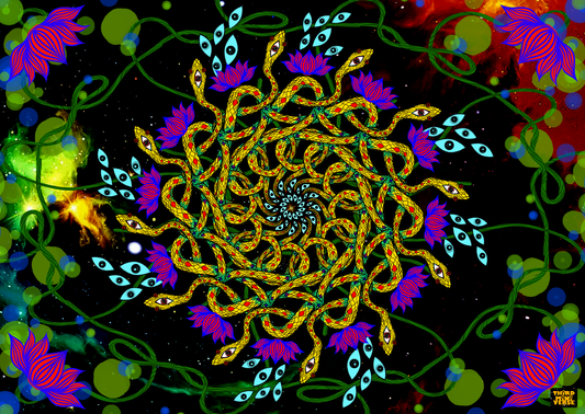 the origins postcard