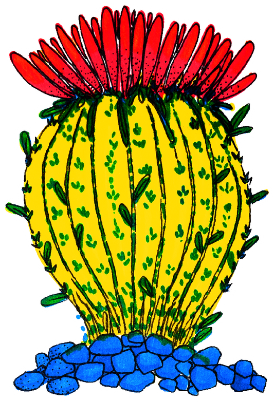 unexamined cactus sticker