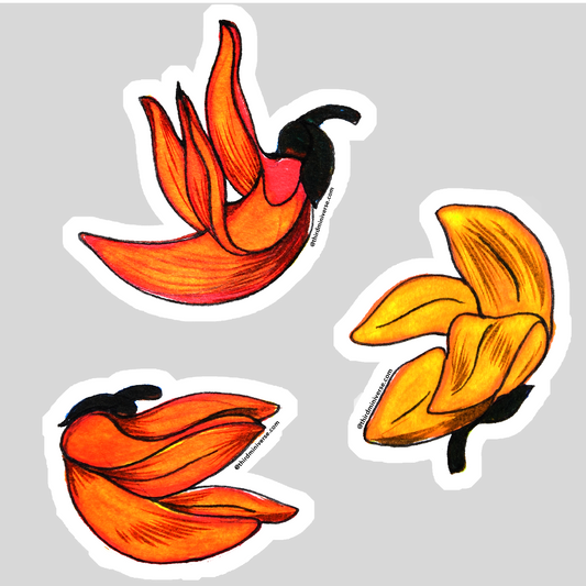 flame of the forest sticker