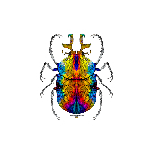 pride beetle sticker