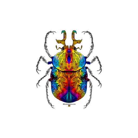 pride beetle sticker