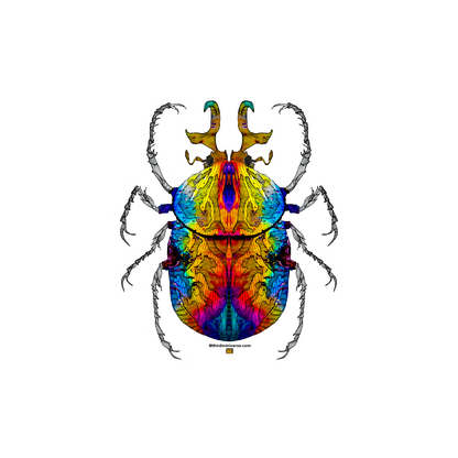pride beetle sticker